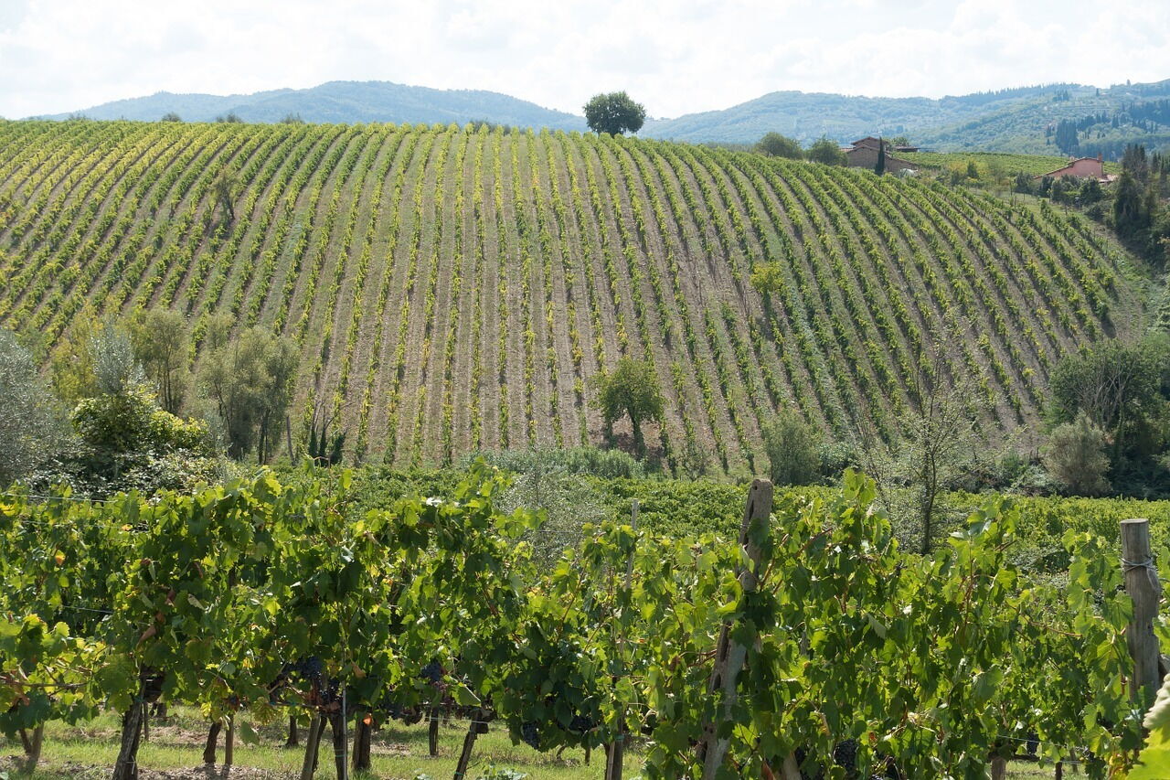 Chianti Wein