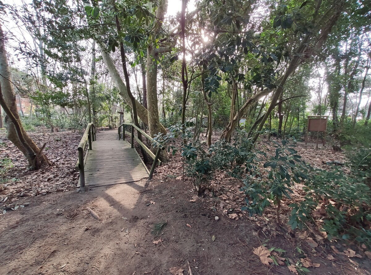 Passeggiata WWF Ronchi