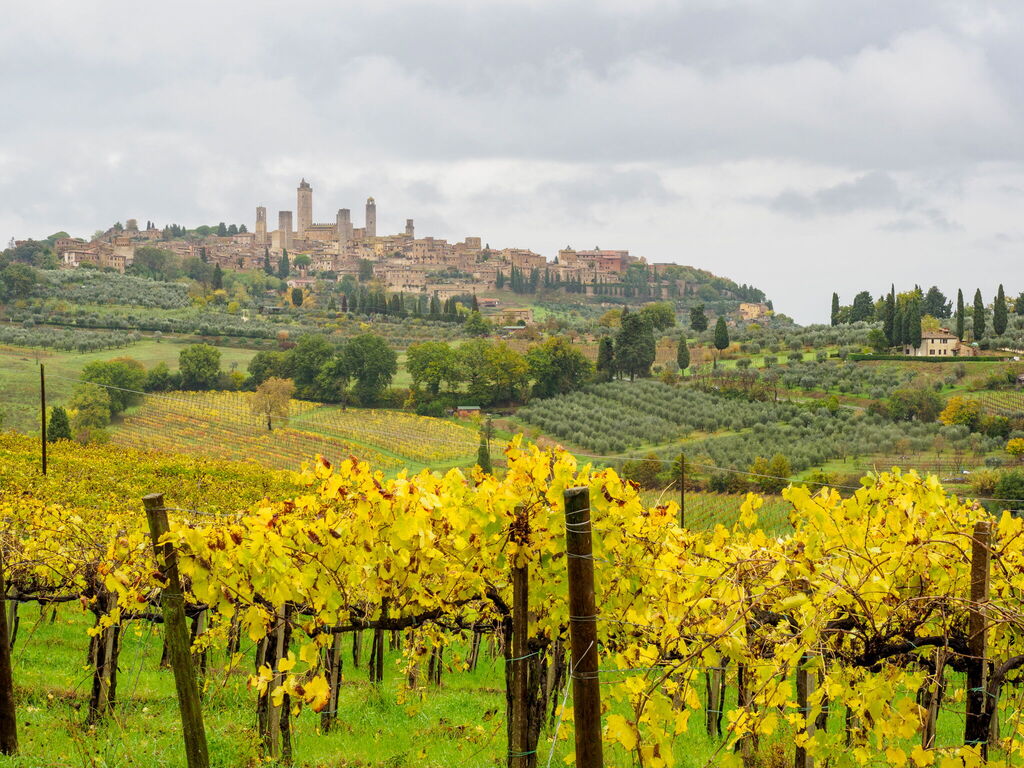 Tuscany without Florence: 10 peaceful spots for a relaxing holiday amongst villages, vineyards and nature Tuscany without Florence: 10 peaceful spots for a relaxing holiday amongst villages, vineyards and nature