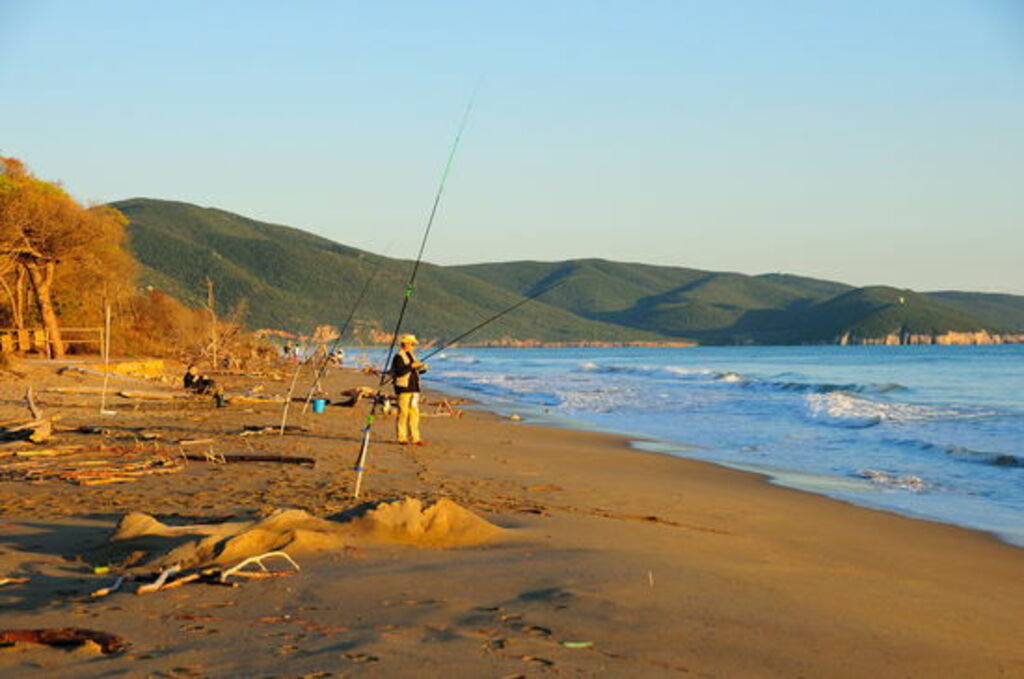 Apuánské pobřeží