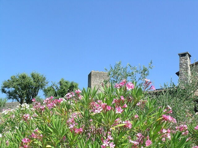 Monteriggioni in Primavera
