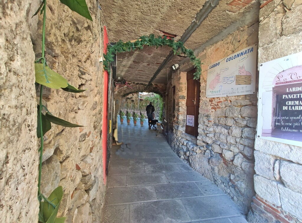 Alley in Colonnata