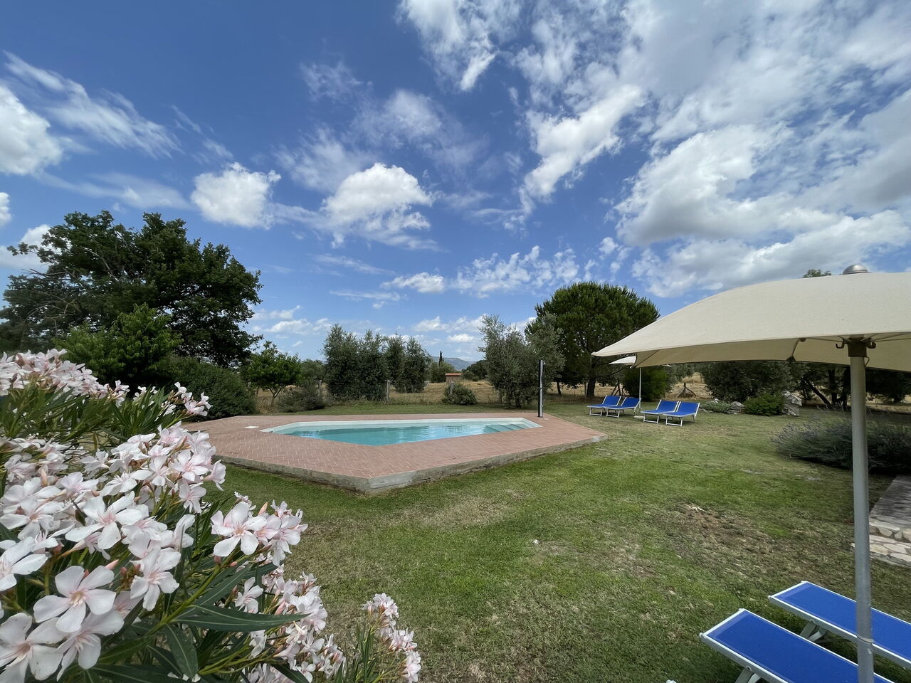 Funghi 1: Außen, Draussen, Garten, Schwimmbad