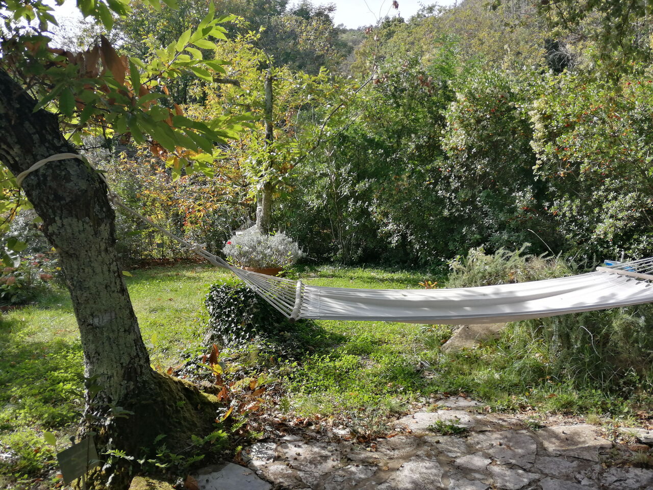 Villa La QuerciaAlloggio:&nbsp;