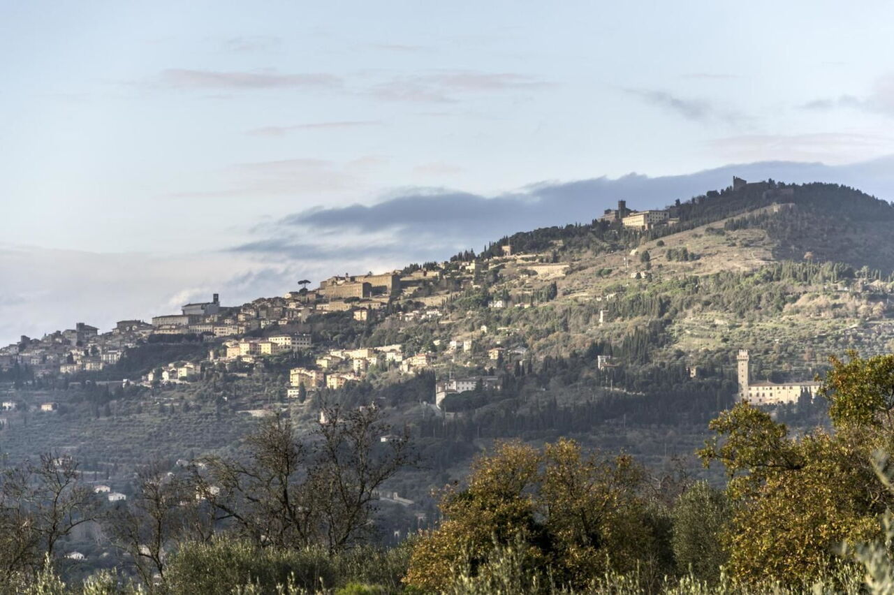 Villa Eleonora: Panoramic view
