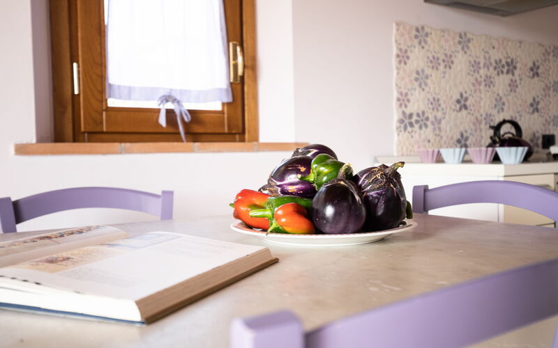 Viola