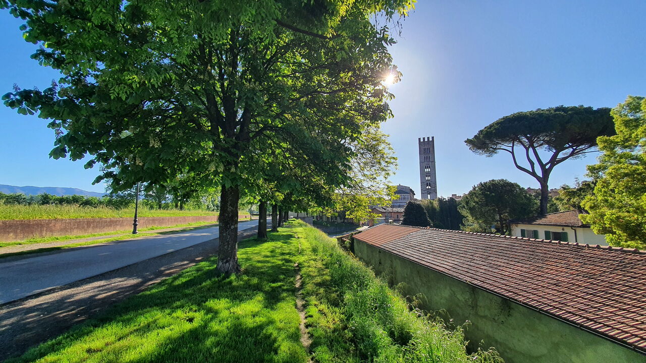 Casina Bella Di Lucca