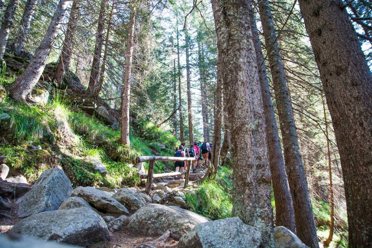Almhütte Comano: Činnosti, Otevřeno