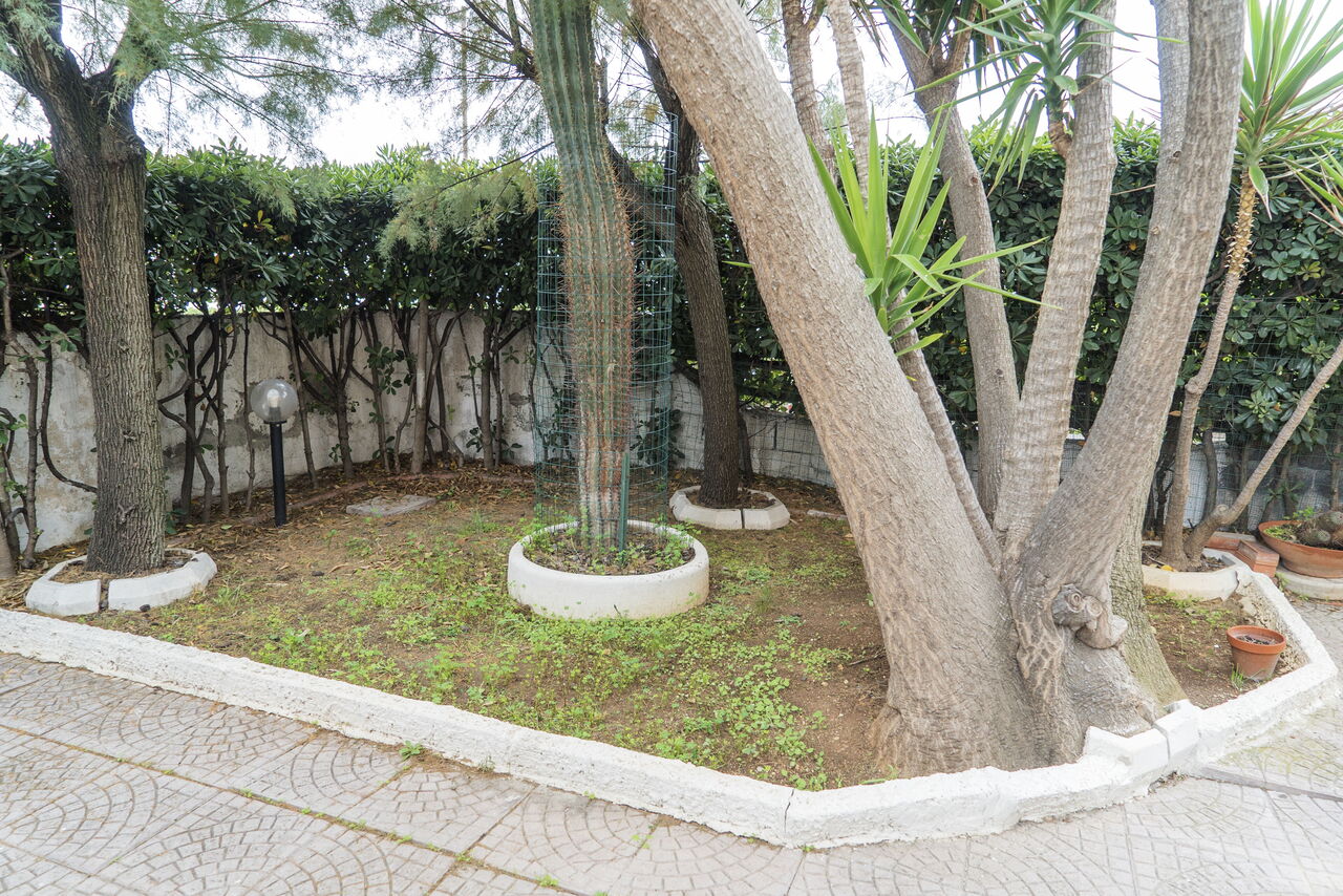 La Terrazza Di Santa Marinella