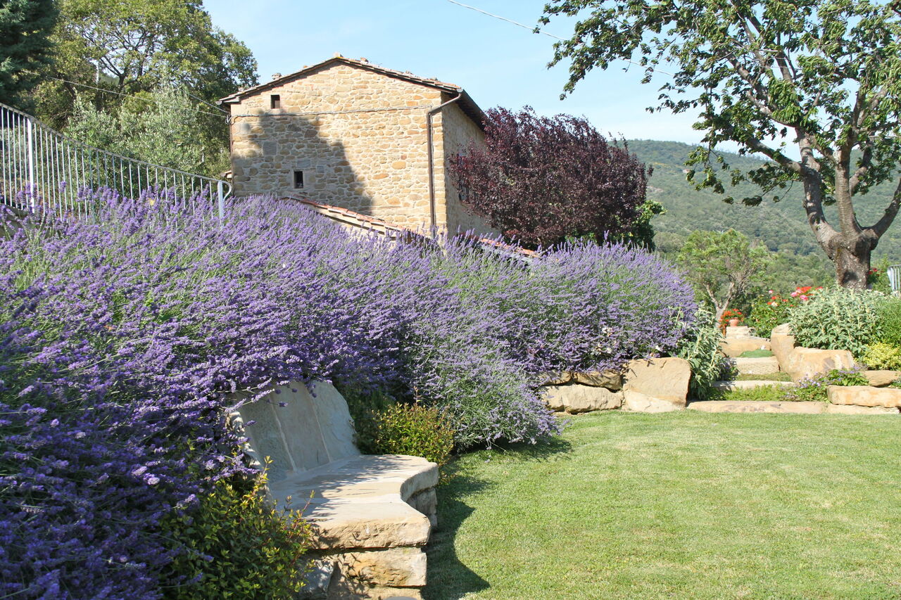 Villa Adelfa: Garden