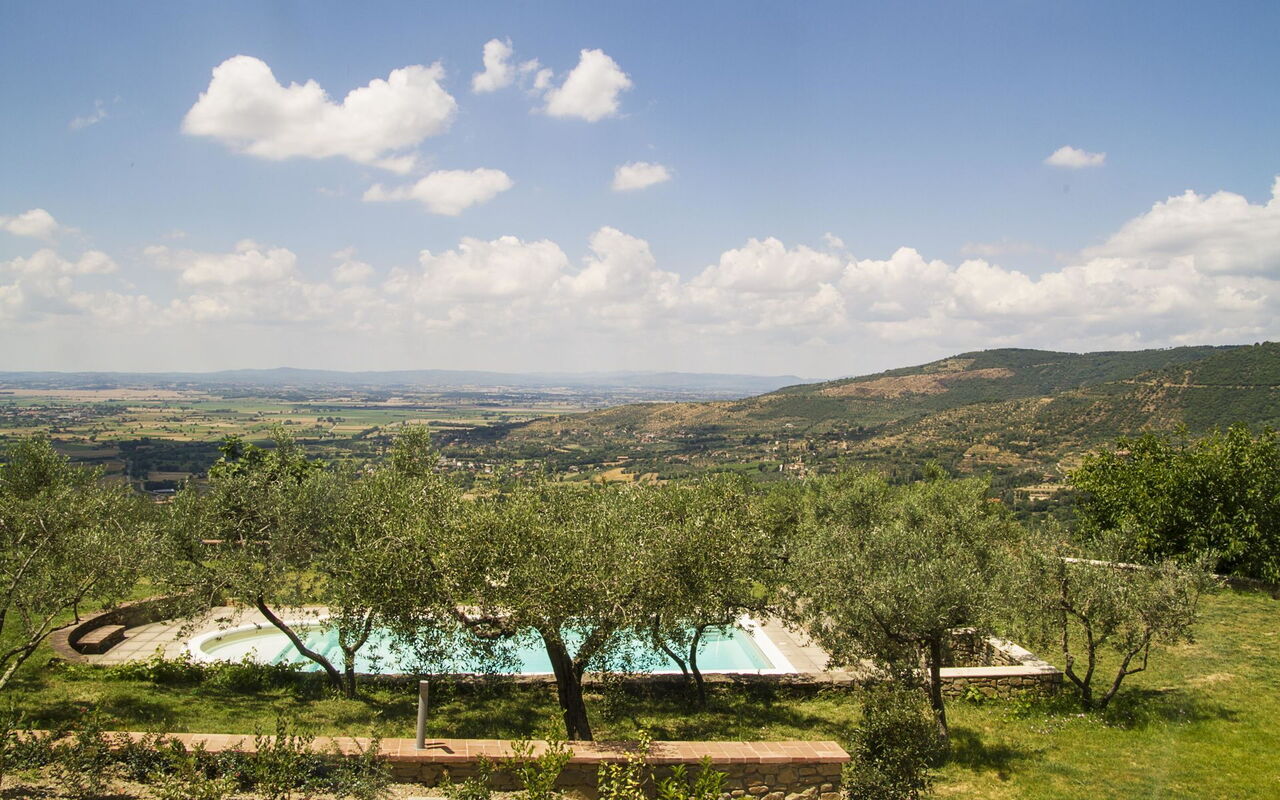 Orangerie Degli Ulivi: Swimming pool