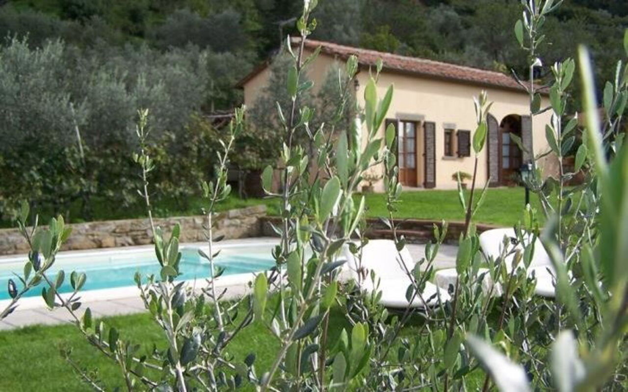 Orangerie Degli Ulivi: Swimming pool