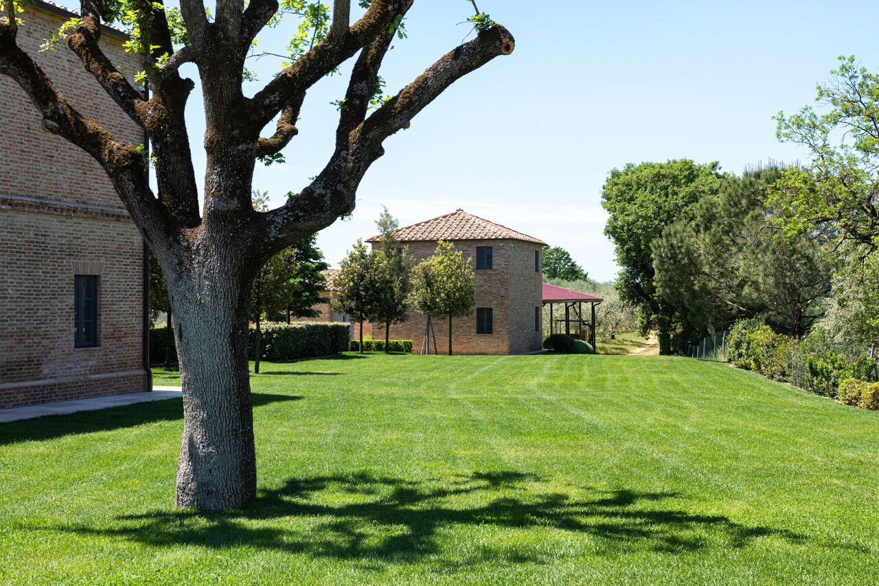 Podere D'Asso: Exteriéry