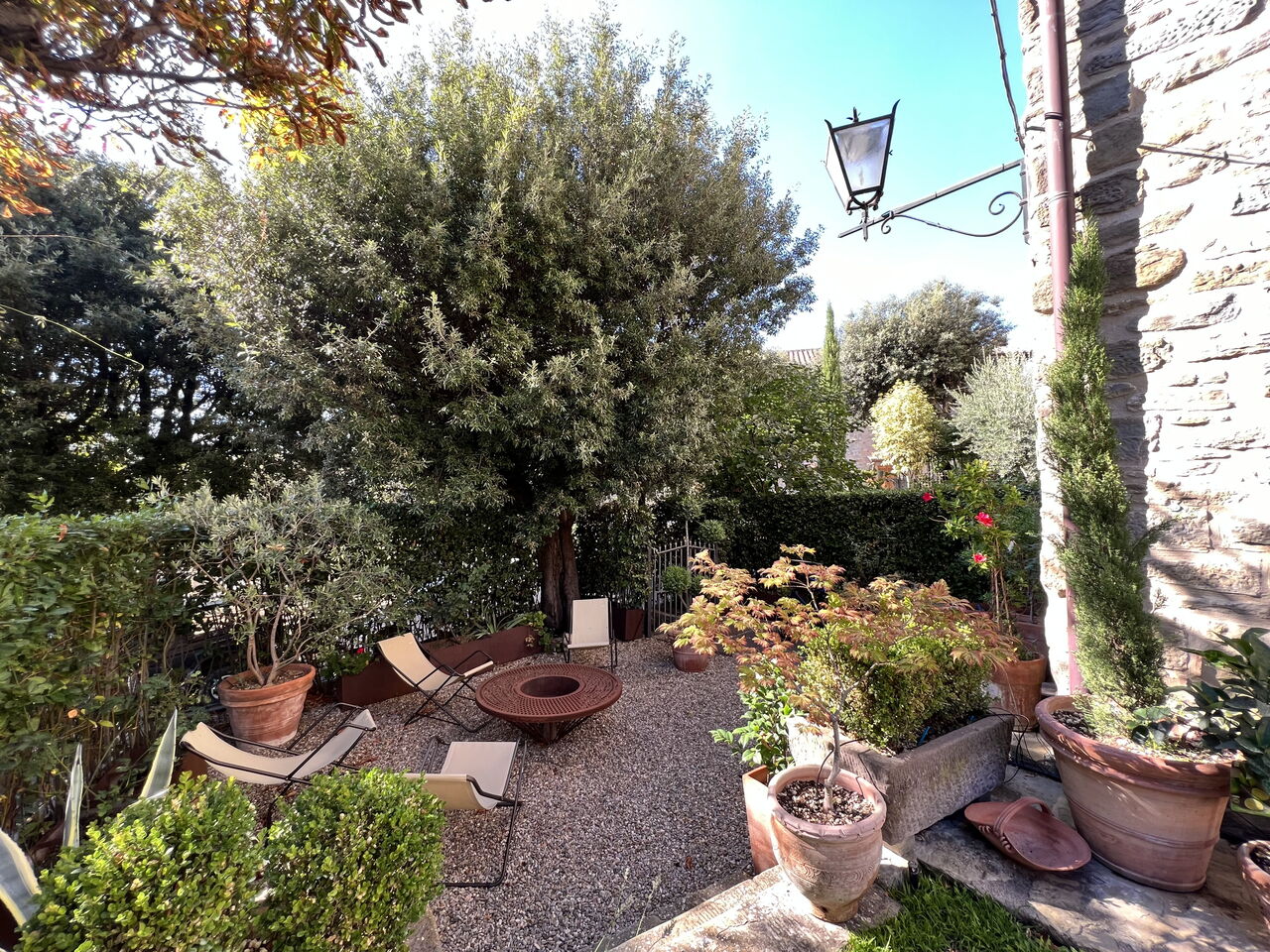 The Architects House: Garden