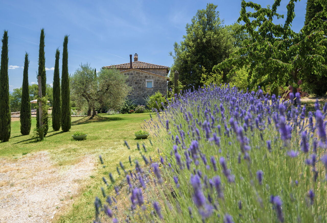 Terra Quercus: Außen