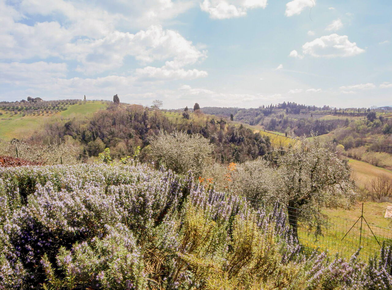 Podere OlivetaAlloggio: