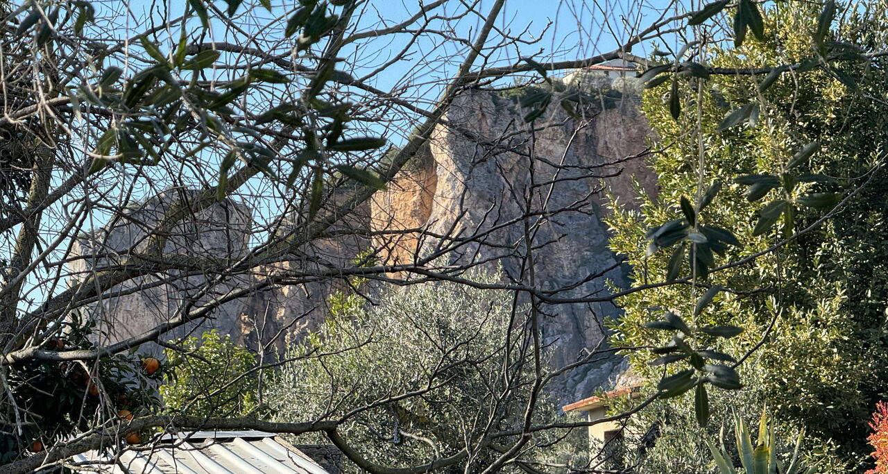 Il Volo Del Nibbio