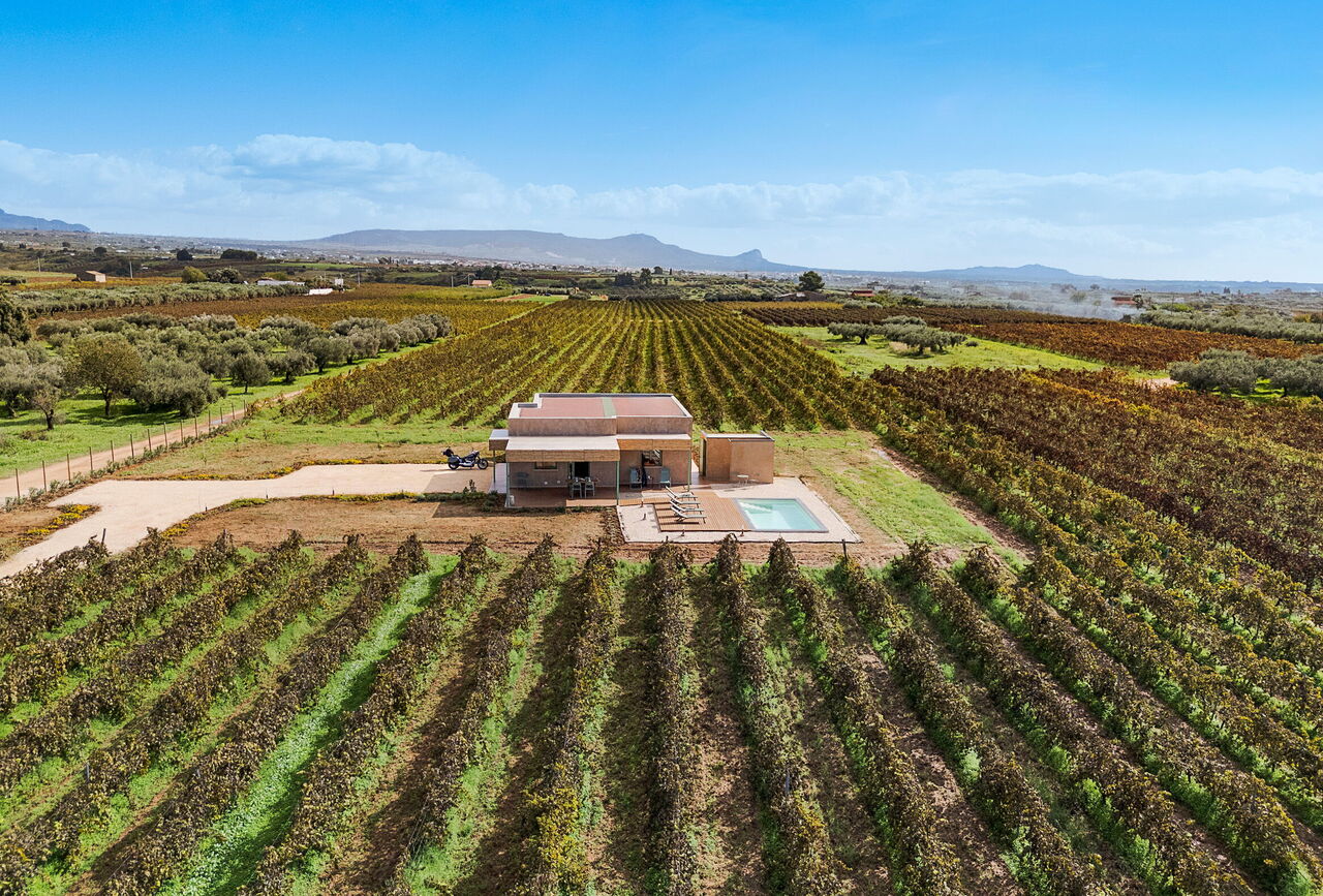 Mami: Garden, Outdoor, Pool