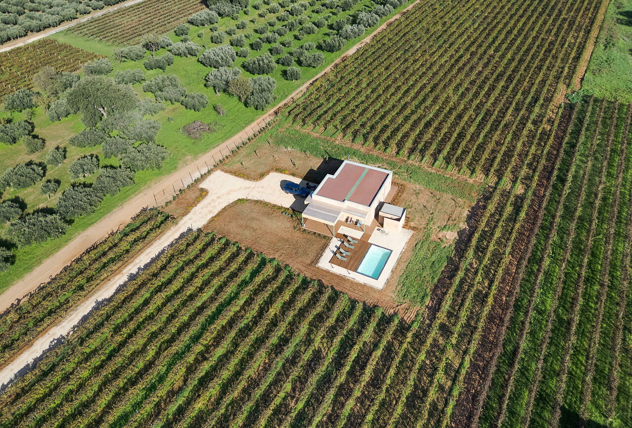 Mami: Garden, Outdoor, Pool