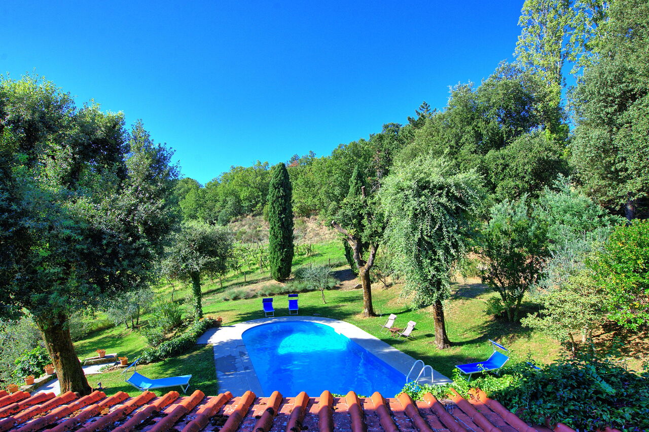 Villa Ulivacci: Pool