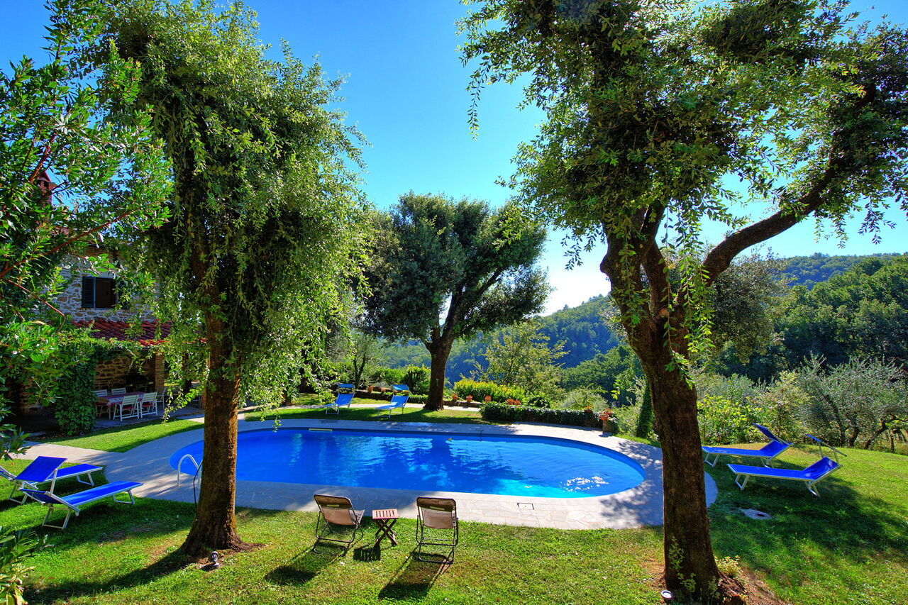 Villa Ulivacci: Garden, Pool