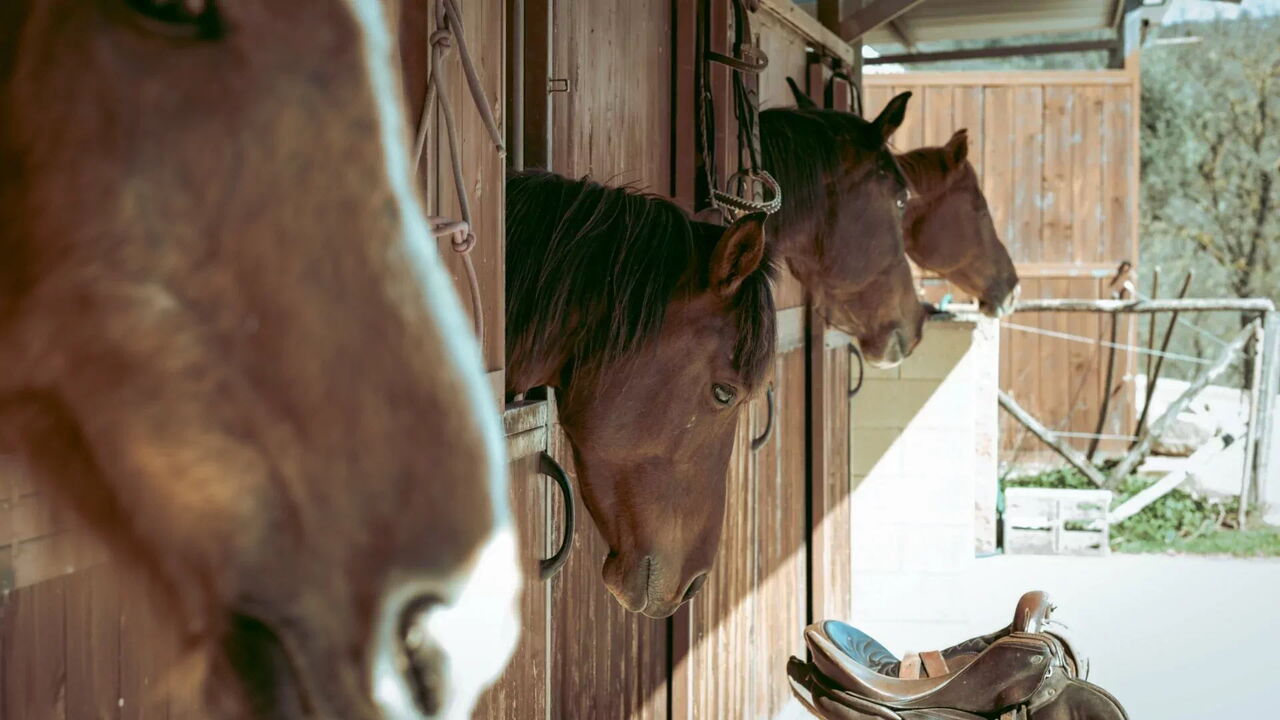 Agriturismo le Case Rosse di Montebuono