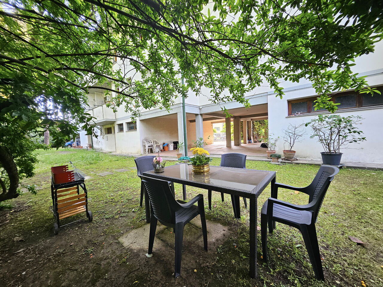 Alle Gardenie