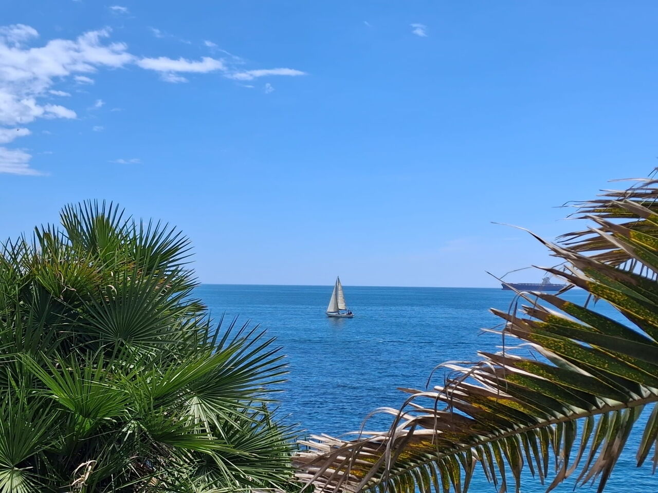 Oasis Villa Sanremo: Ansichten