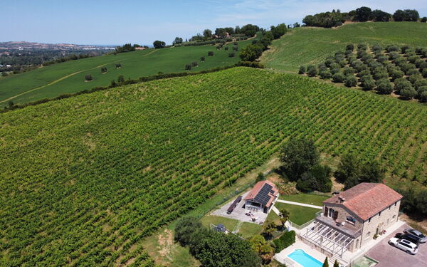 Tenuta Marino - Villa Privata Vista Vigneti con Pi