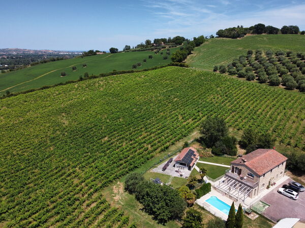 Tenuta Marino - Villa Privata Vista Vigneti con Pi