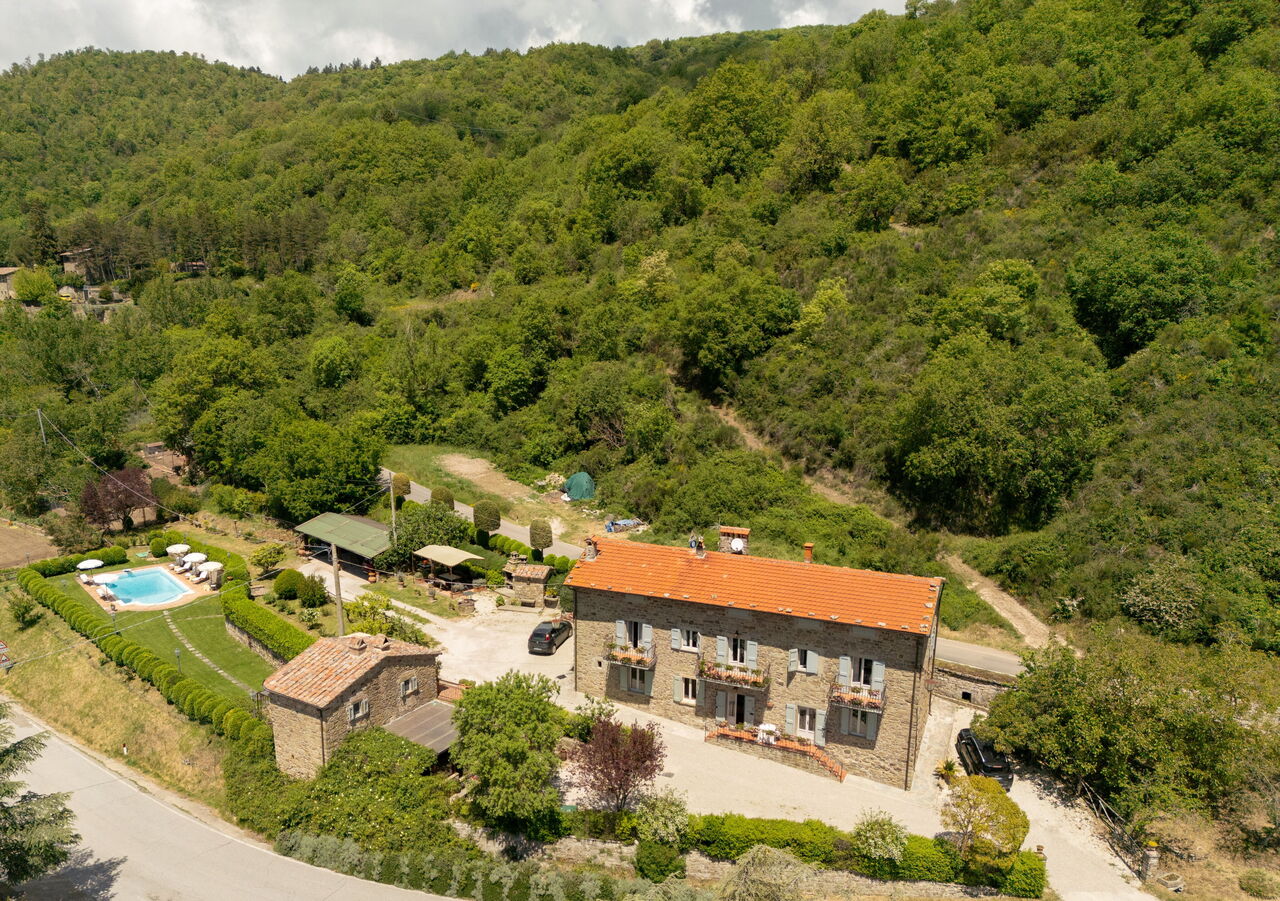 Casa Ivan: Giardino